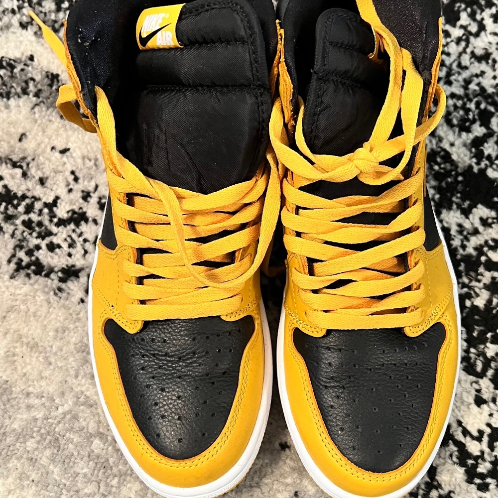 Jordan Retro 1 Pollen